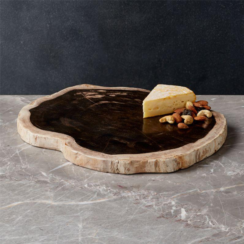 A petrified fossil carved into a striking board
