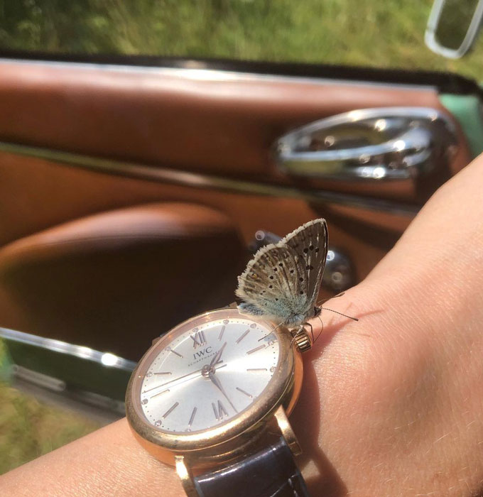 Rosamund 2025 pike iwc