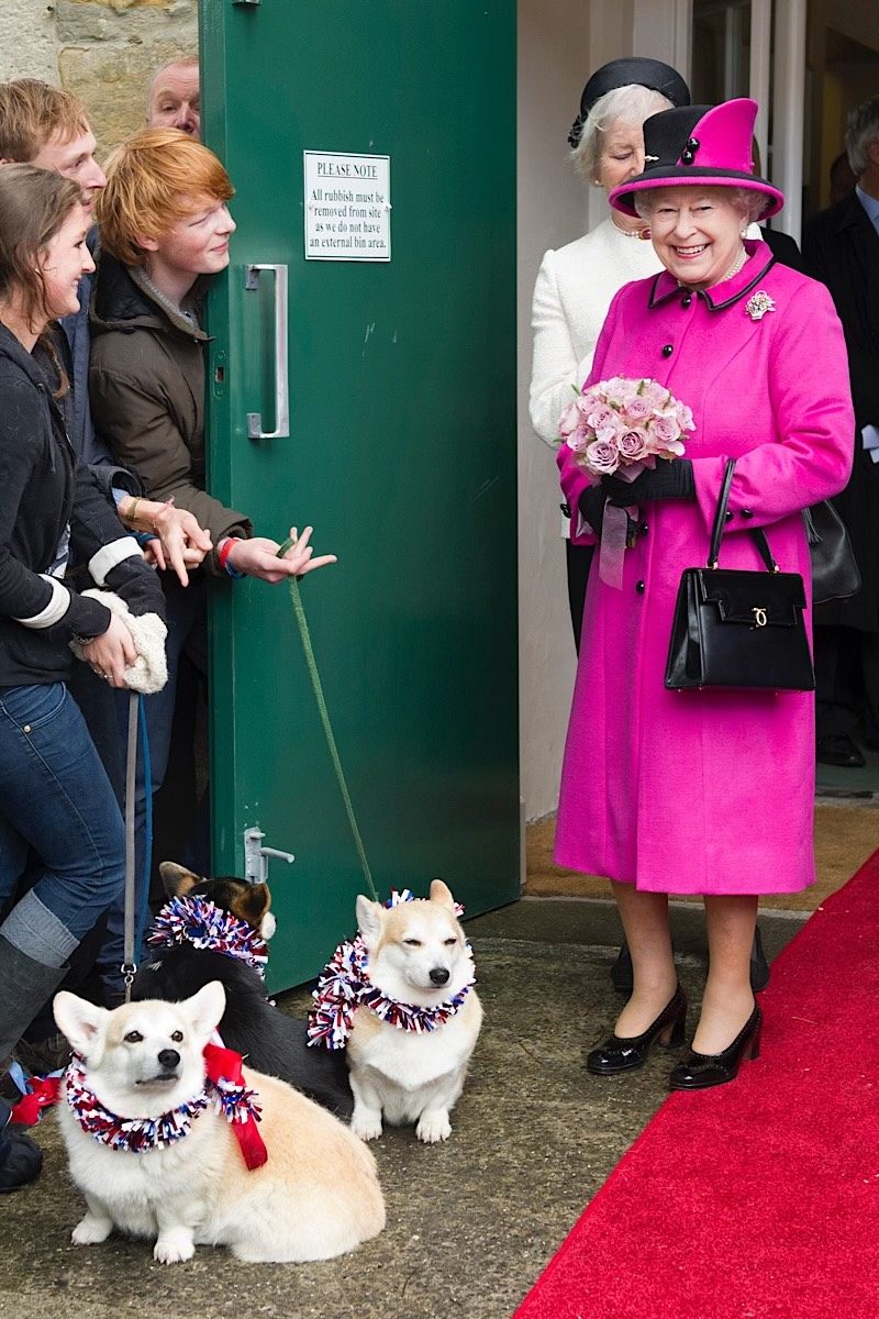 Queen Elizabeth fashion pink corgis