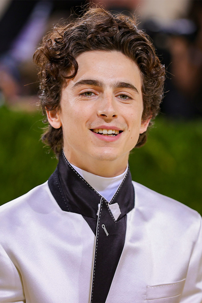 Timothee Chalamet Met Gala