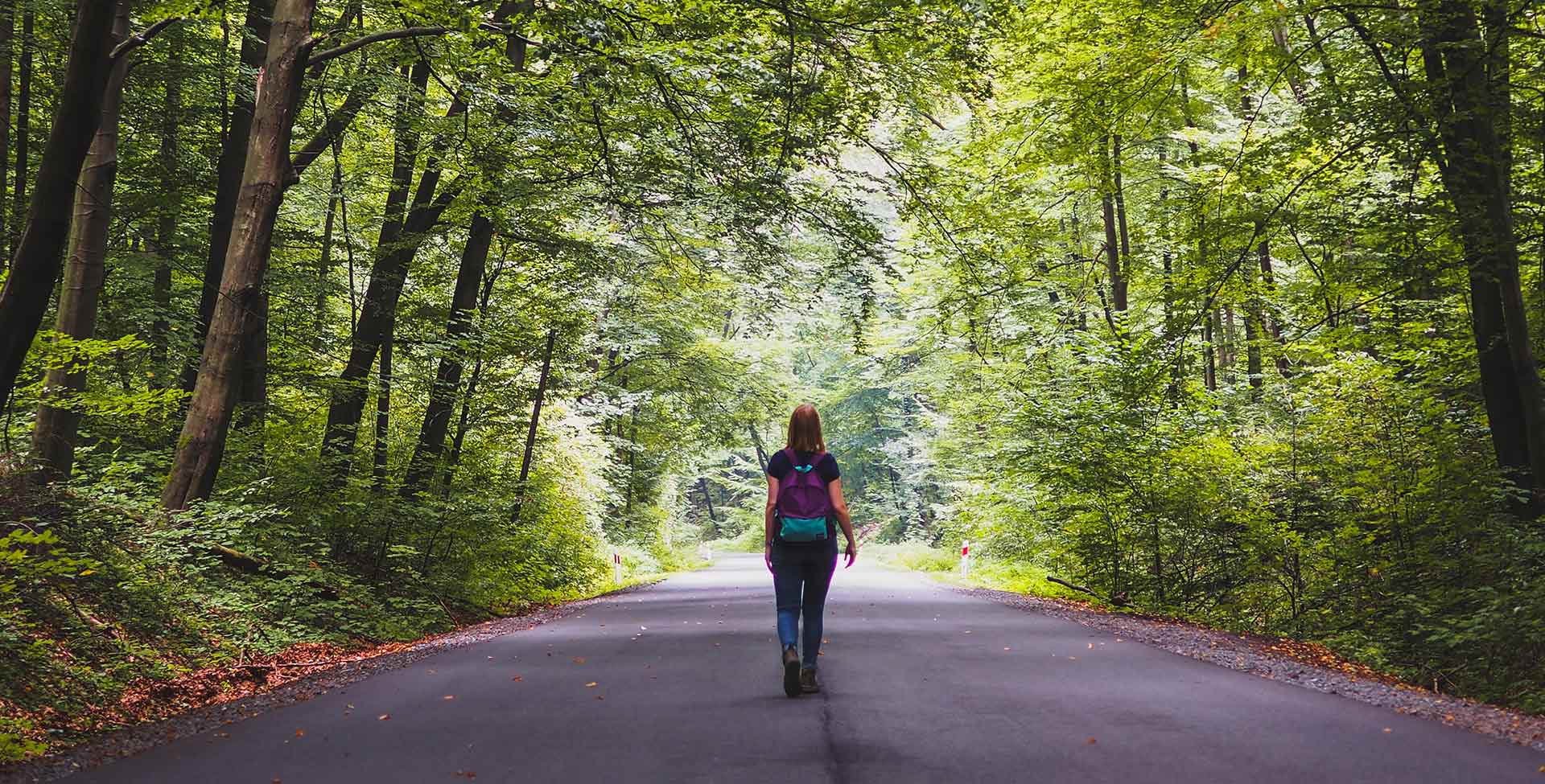 Everything you need to know about forest bathing and where you can do