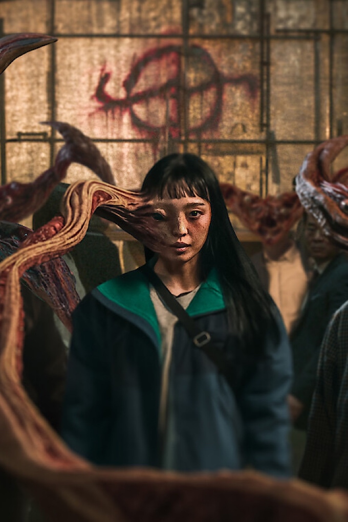 what to watch