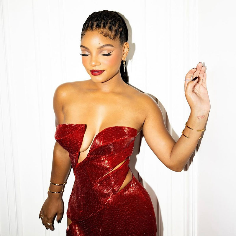 Halle Bailey posing for the camera in her VMAs gown. She is sporting braids, a neutral cut-crease, sharp winged eyeliner and dark red lips.