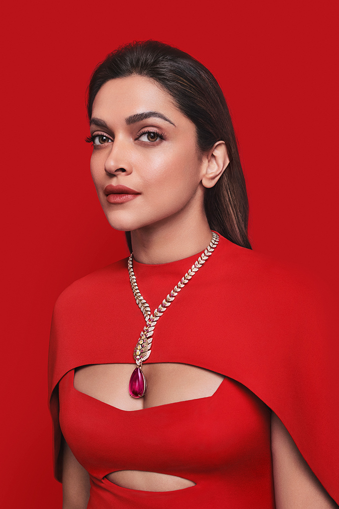 cartier nature sauvage mochelys