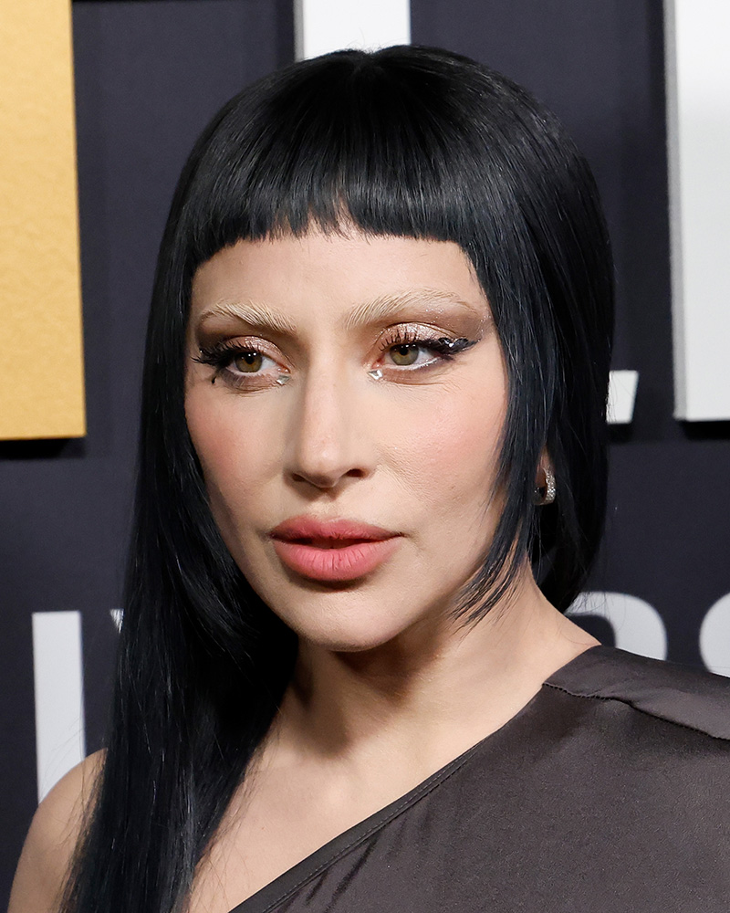 hair and eyebrow lady gaga | SNL50: The Anniversary Special
