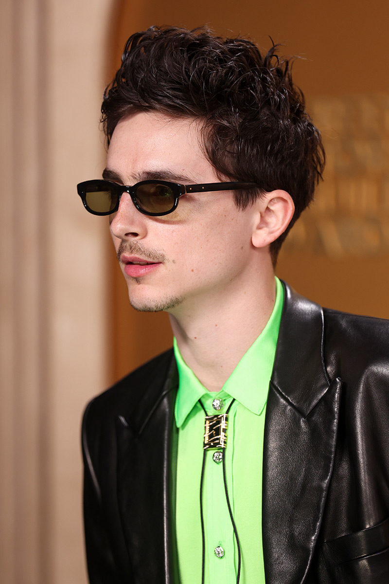 sag awards 2025 timothee chalamet