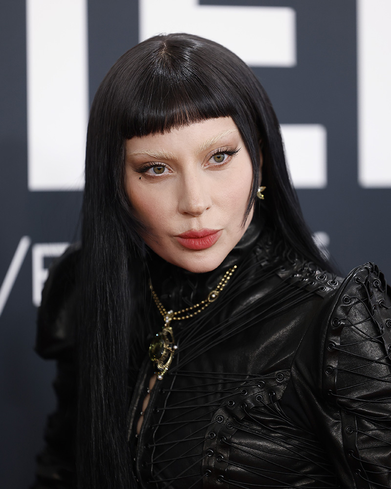 Lady Gaga | 67th GRAMMY Awards - Arrivals