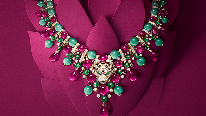 SOCIAL-NATURESAUVAGE_PANTHERE-