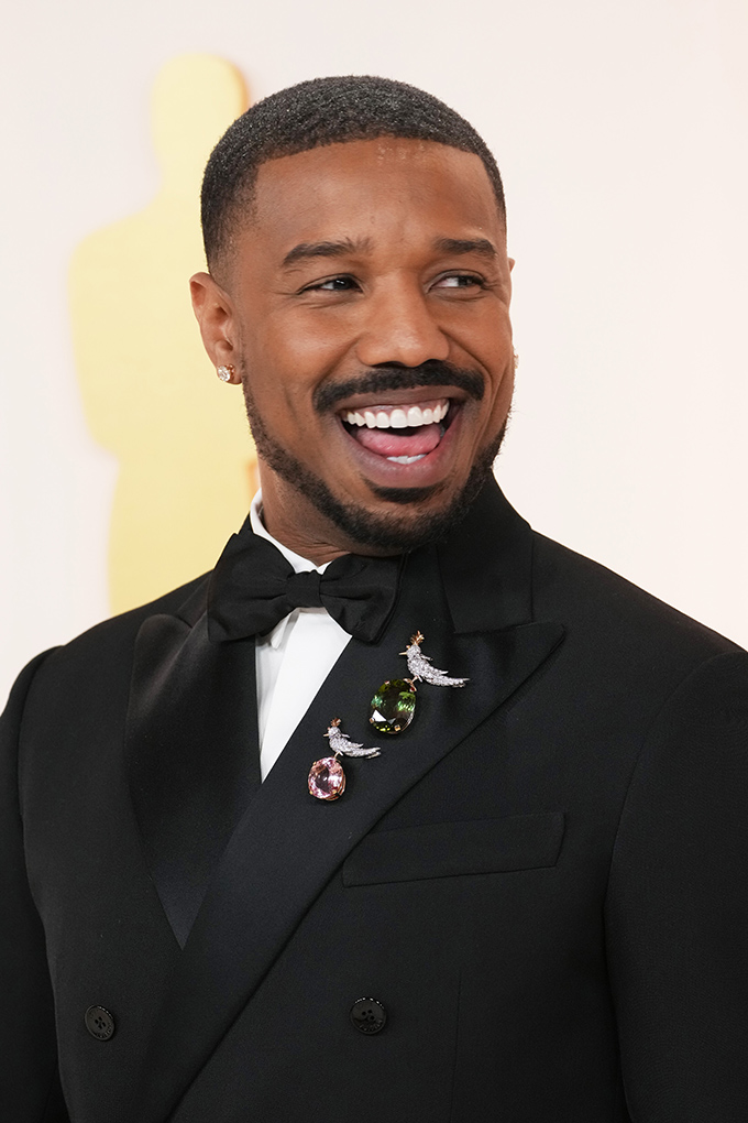 michael b jordan bird on a rock