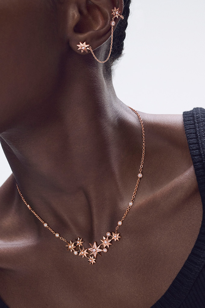 dior rose des vents