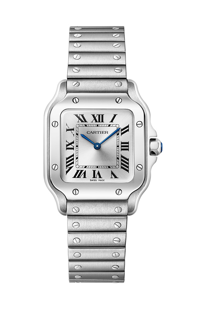santos de cartier small steel