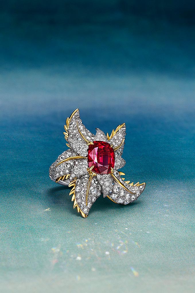 tiffany co blue book starfish ruby