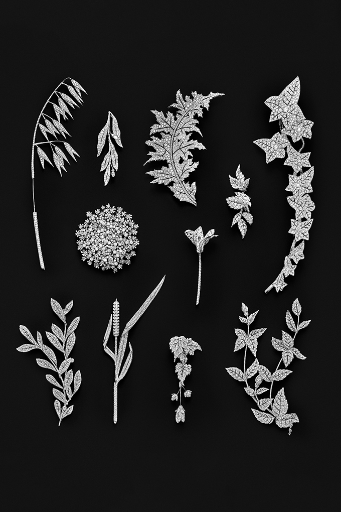 It's wild, and it's a lot more about plants than flowers