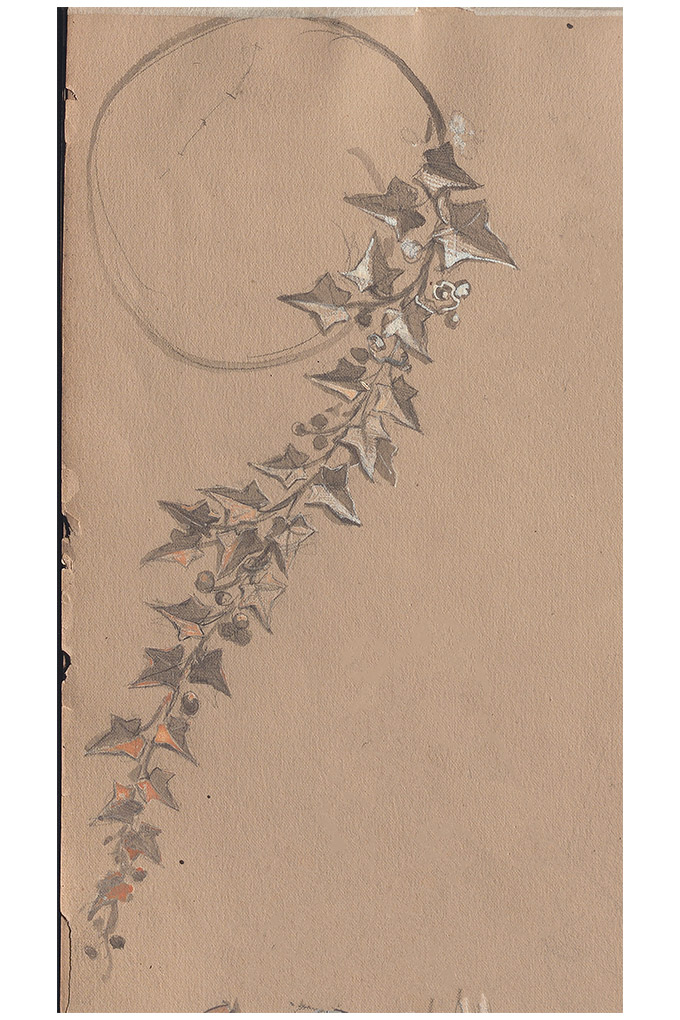 boucheron ivy drawing