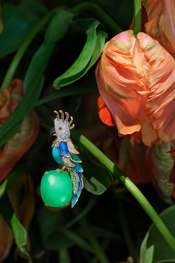 tiffany blue book paradise bird