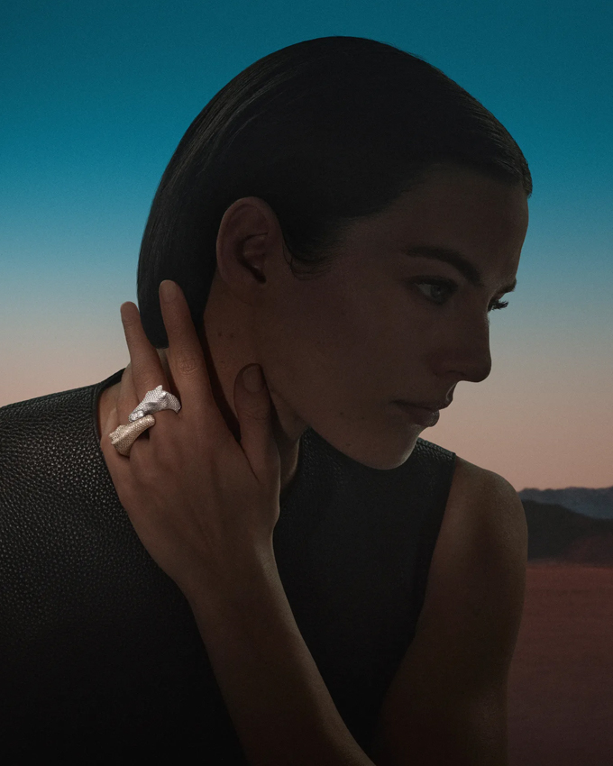 hermès horsescape double galop ring